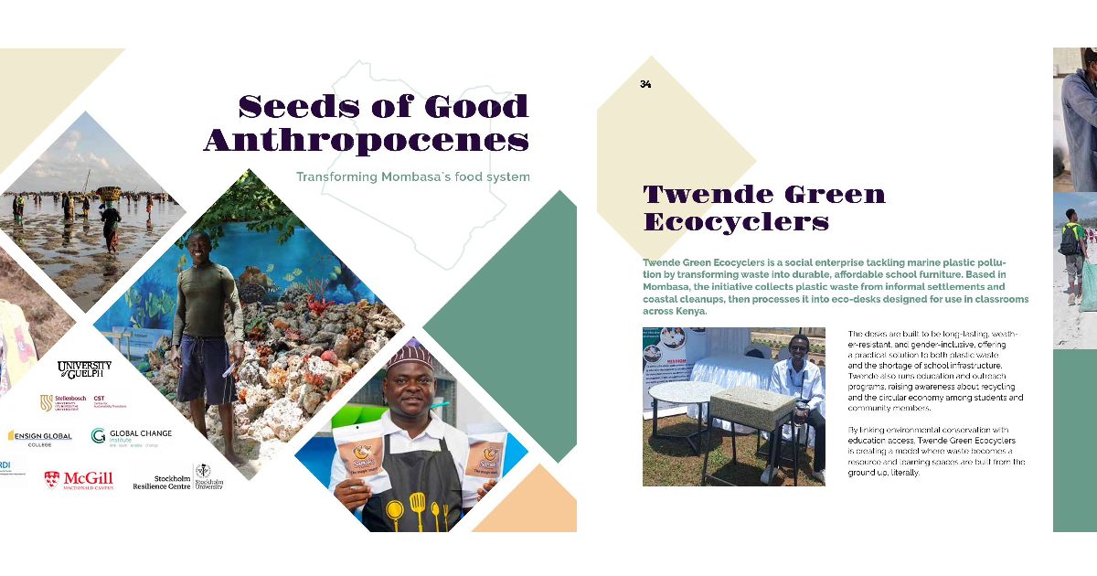 Twende Green in pan-African food systems research: Seeds of the Good Anthropocene